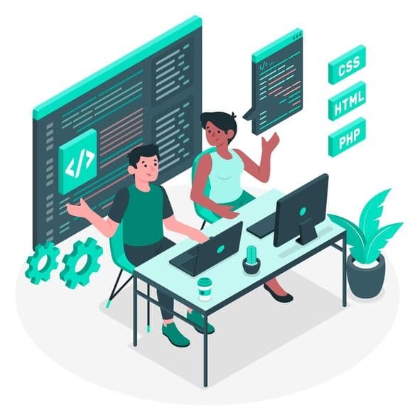 Custom Website Design & Development